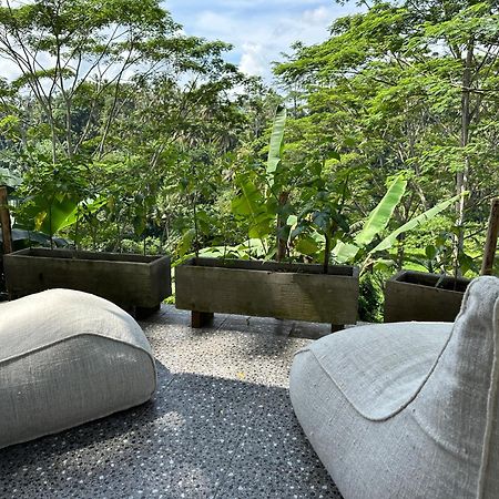 Tirta Asri Ubud Villa Dış mekan fotoğraf