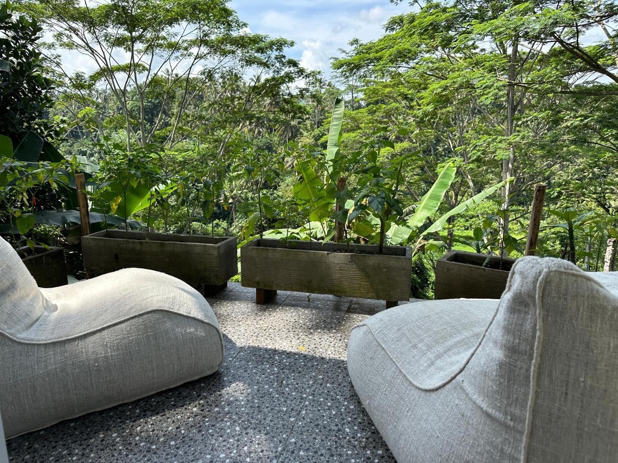 Tirta Asri Ubud Villa Dış mekan fotoğraf