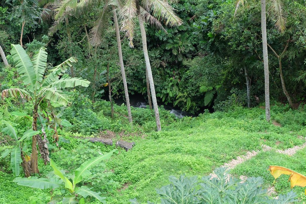 Tirta Asri Ubud Villa Dış mekan fotoğraf