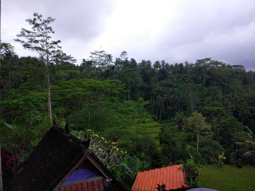 Tirta Asri Ubud Villa Dış mekan fotoğraf