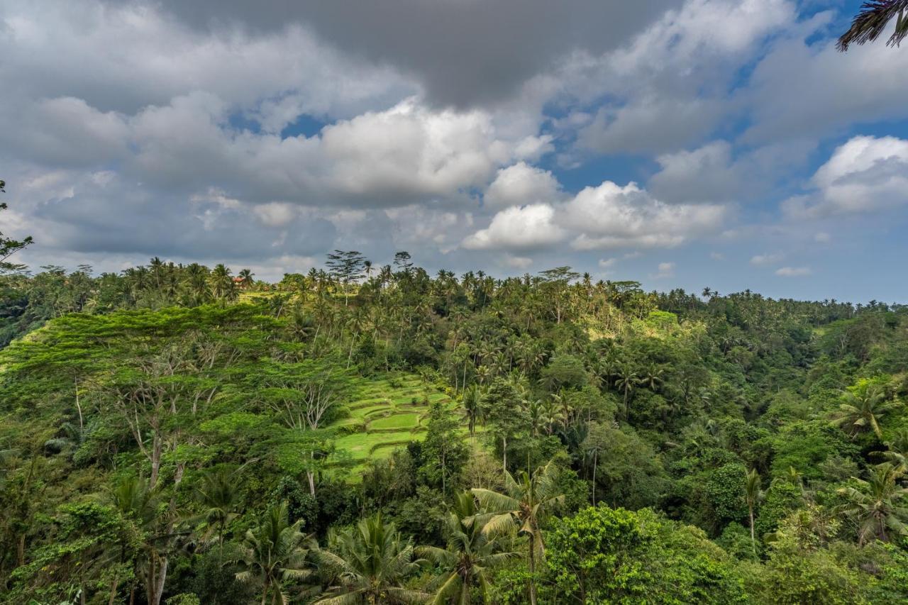 Tirta Asri Ubud Villa Dış mekan fotoğraf