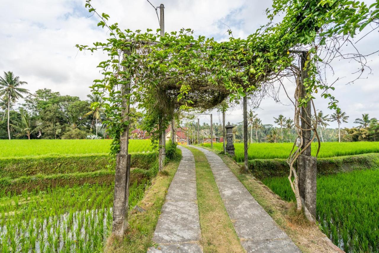 Tirta Asri Ubud Villa Dış mekan fotoğraf