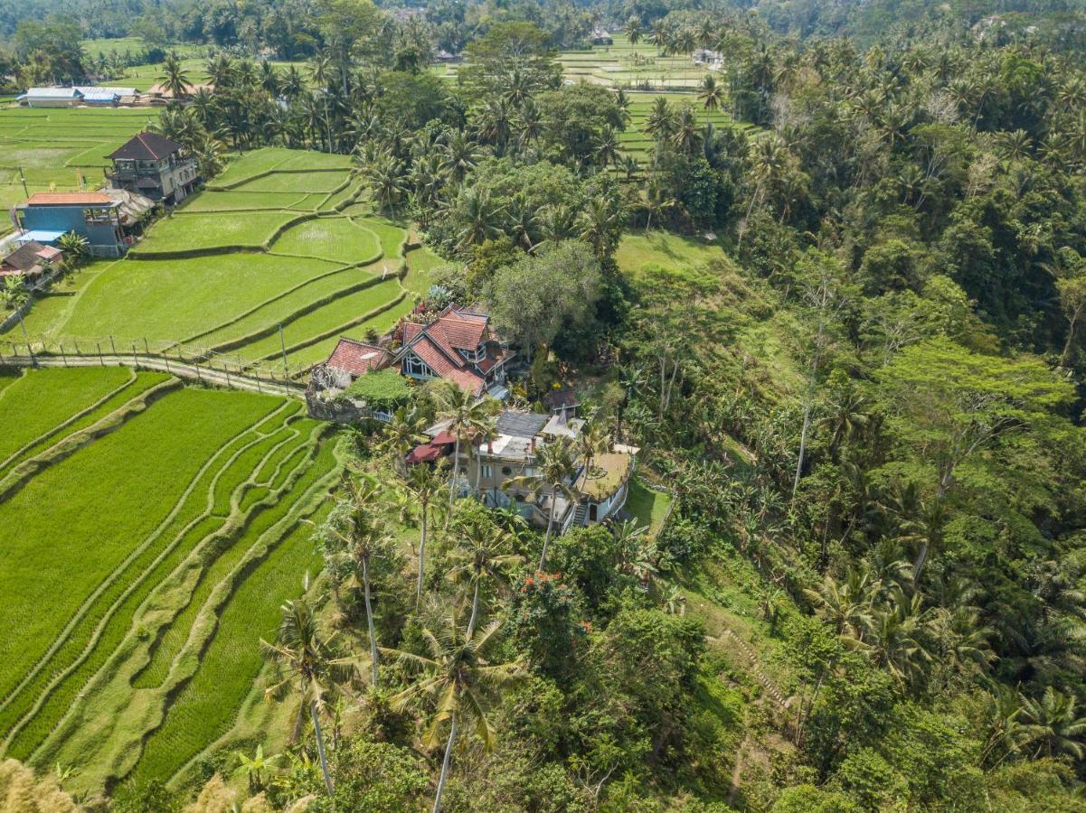 Tirta Asri Ubud Villa Dış mekan fotoğraf